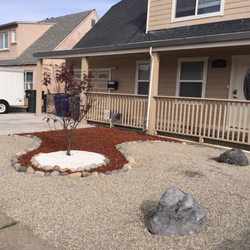 Allegrow Landscaping - Low maintenance zen front yard-Japanese maple tree centerpiece, scattered feather rock.