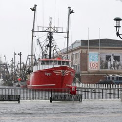 Sal's Fresh Seafood Market