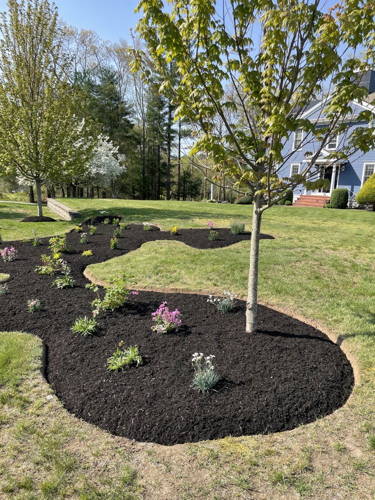 CLIFFORD’S LANDSCAPING Updated May 2024 30 Photos Randolph