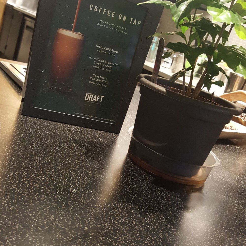 Starbucks - Coffee & Tea Near Me - New Westminster, British Columbia Starbucks - Coffee & Tea Near Me - New Westminster, British Columbia