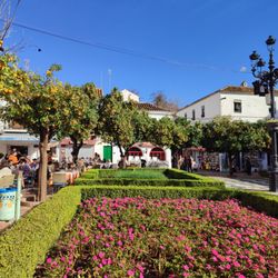 Plaza de los Naranjos
