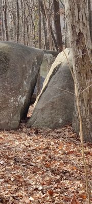 Big Rock Nature Preserve by null