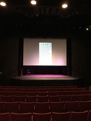 Capri Theater by null