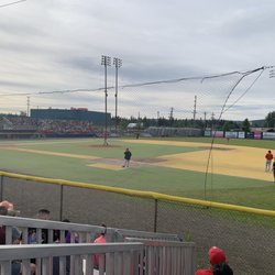 Goldpanner Baseball