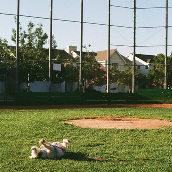 Foto Express - Canon EOS Elan, Kodak Color Plus 200, box speed - Photography Stores & Services Near Me - San Jose, California Foto Express - Canon EOS Elan, Kodak Color Plus 200, box speed - Photography Stores & Services Near Me - San Jose, California
