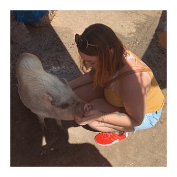 SoCalMiniPigs - Pet Breeders Near Me - Valley Center, California