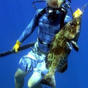 Off the Rock Fishing Charters - Nice black grouper while spearfishing - Fishing Near Me - Key West, Florida Off the Rock Fishing Charters - Nice black grouper while spearfishing - Fishing Near Me - Key West, Florida