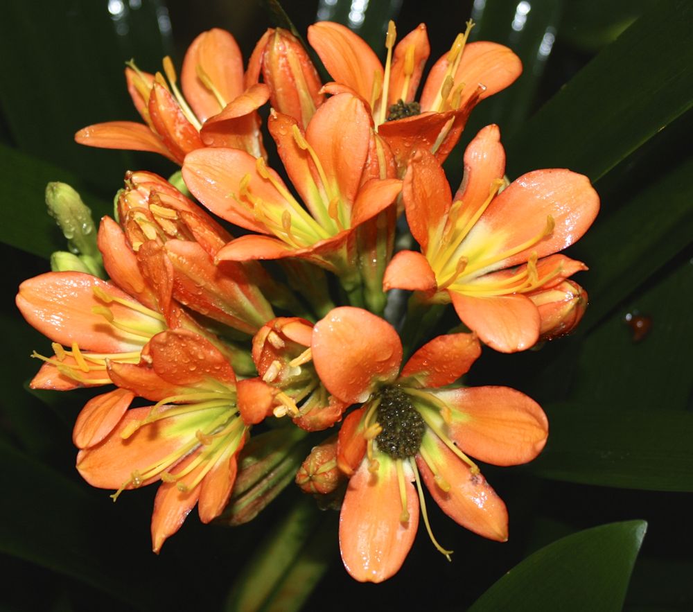 MANSELL INTERIOR DESIGNS Updated May 2024 1702 NW 17th Ln