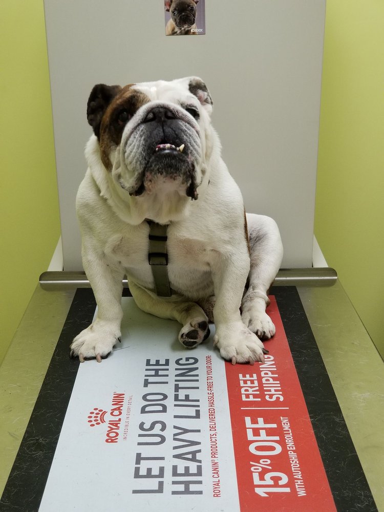 ANIMAL CARE OF ORADELL 43 Photos & 21 Reviews 2 Berkshire St, Oradell, NJ Yelp