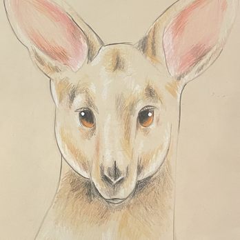 Drawn2Art - Encino - Art Schools Near Me - Encino, California Drawn2Art - Encino - Art Schools Near Me - Encino, California