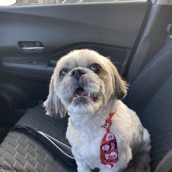 4 Pawz Only - My Baby Tobee