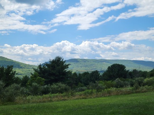 Bald Eagle State Park by null