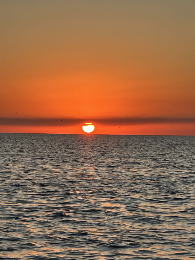 Island Hopper Charters