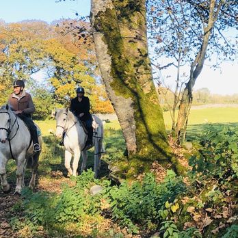 Castlefergus Riding Stables - Horseback Riding Near Me - Clarecastle, CE