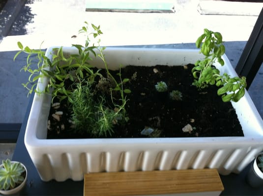 My 2 Cents LA by null