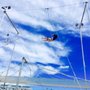 Photo of I.FLY Trapeze