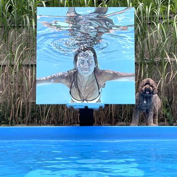 Canvas Gallery - work from artist Celeste Keller - Art Galleries Near Me - Toronto, Ontario