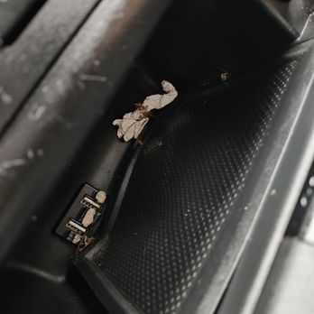 Ets Autos - Bugs in the vehicle - Car Dealers Near Me - Sanford, Florida Ets Autos - Bugs in the vehicle - Car Dealers Near Me - Sanford, Florida