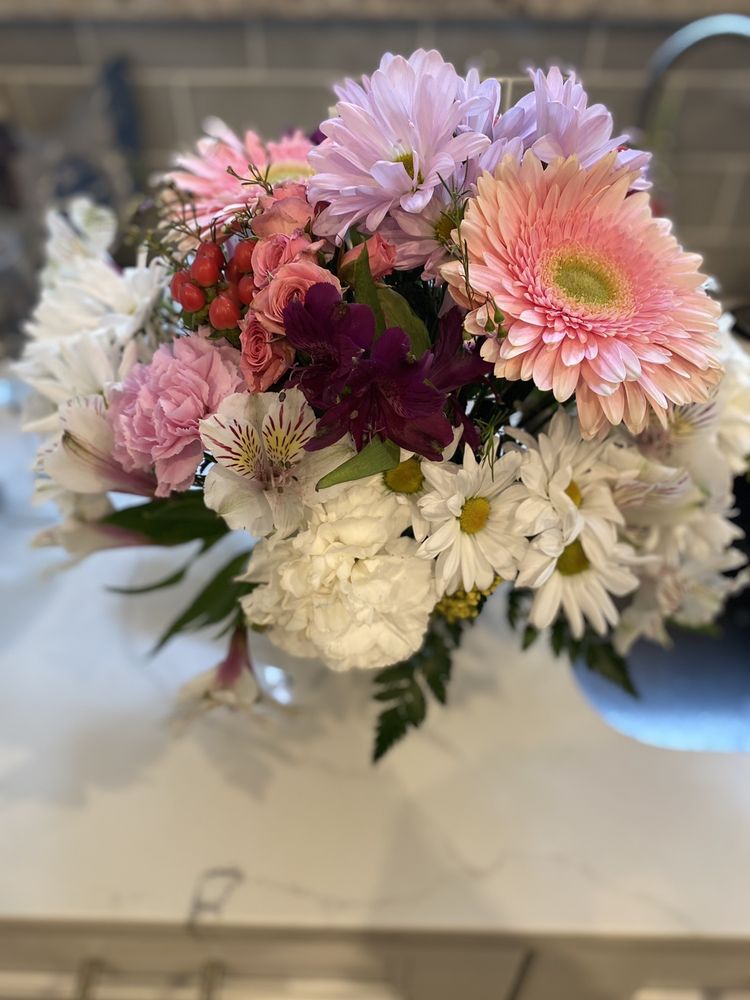 MONOKIAN DENTISTRY Updated September 2024 12 Reviews 300 N Haddon