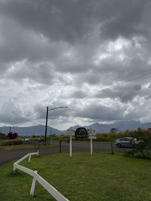 Green World Coffee Farm by null