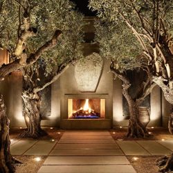 Nor Cal Trees