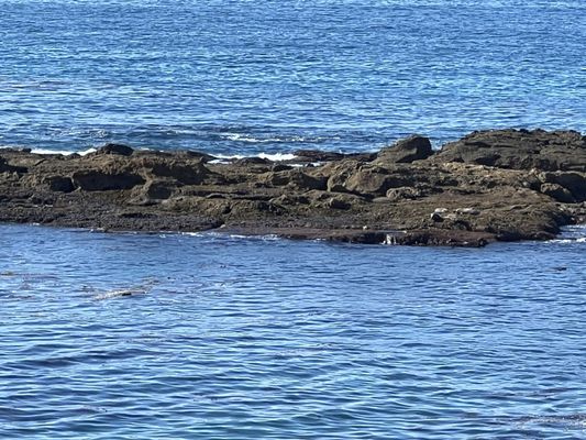 Spa Montage Laguna Beach by null