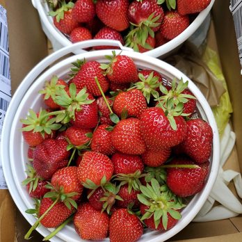 Brookdale Farm - Farmers Market Near Me - Chesapeake, Virginia