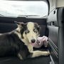 Photo of Greenville County Animal Care
