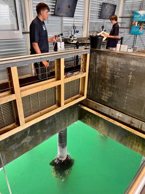 Santa Barbara Museum of Natural History Sea Center by null