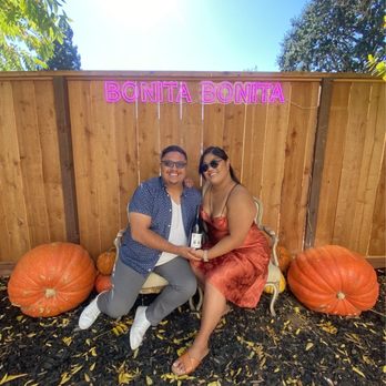Bonita Bonita - Wine Tasting Room Near Me - Napa, California