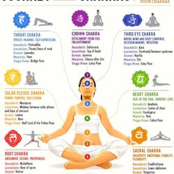 Buddha Beach Hot Yoga - Chakras