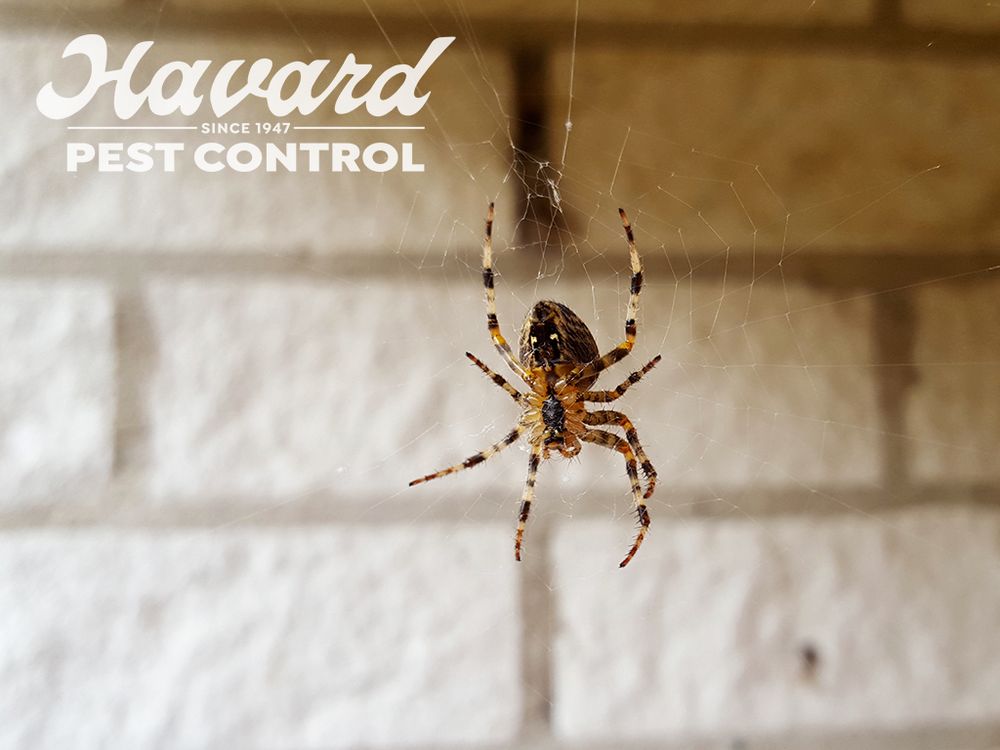 HAVARD PEST CONTROL COLUMBIA, MS Updated August 2024 22 Photos