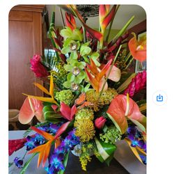 Coral Gables Florist