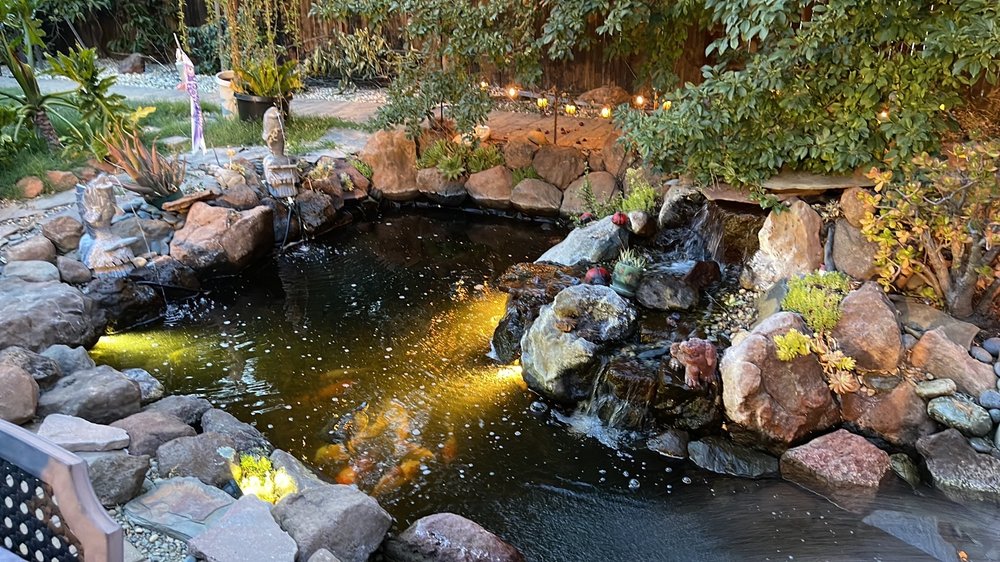 Koi Enterprise - koi in West Sacramento, CA