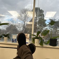 Ekaterina Tomenko,DDS - Relaxing