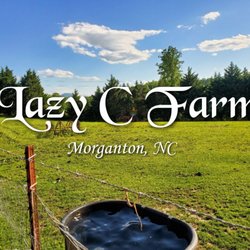 Lazy C Farm - Lazy c farm