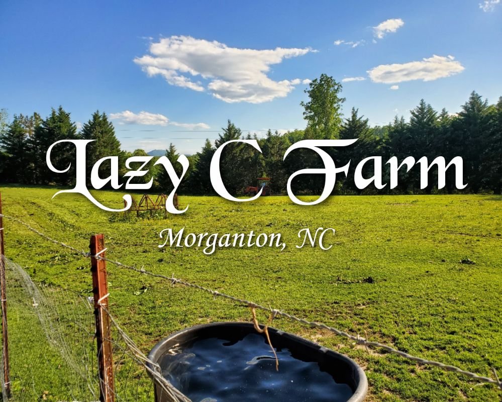 LAZY C FARM Updated September 2024 17 Photos 3996 Scott Rd, North Carolina