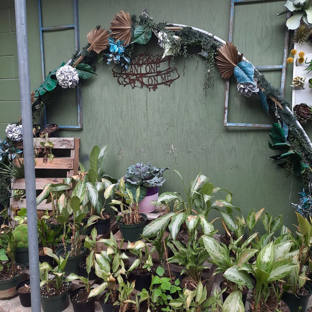Re-Leaf Plant Market - Plant One on Me! - Nurseries & Gardening Near Me - Houston, Texas