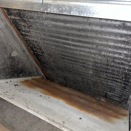 moldy vents