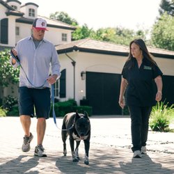 Bark Busters Home Dog Training