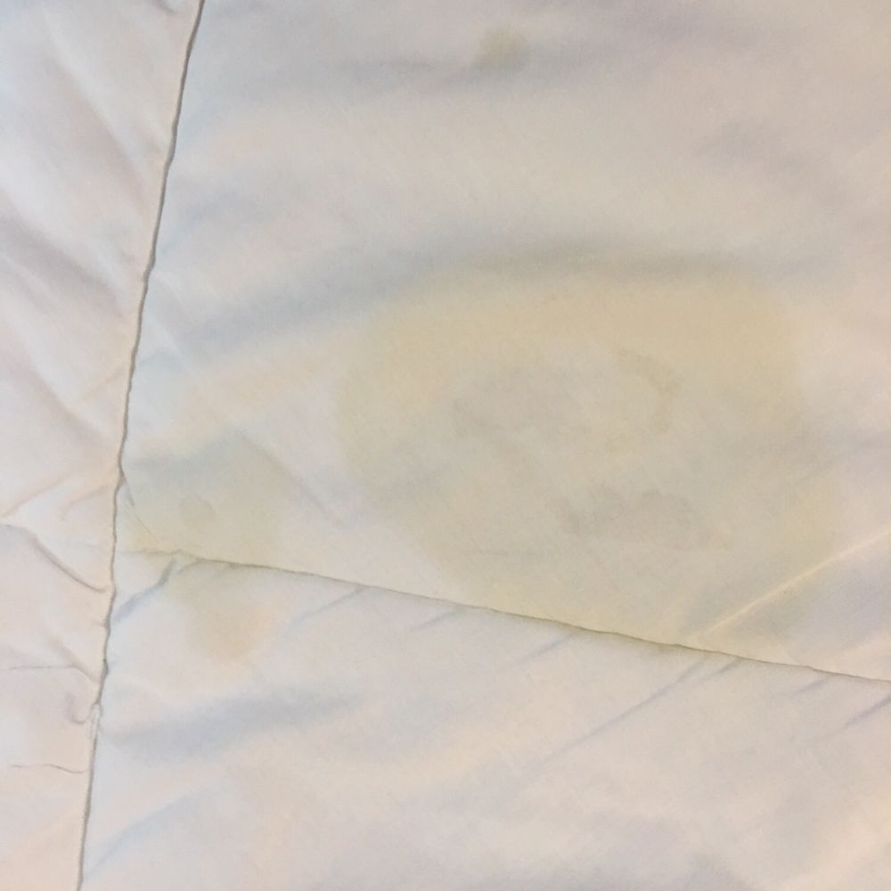 Quality Inn & Suites - Stained bedding - Hotels Near Me - Coldwater, Michigan Quality Inn & Suites - Stained bedding - Hotels Near Me - Coldwater, Michigan