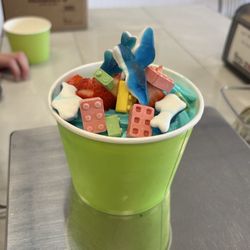 Fro-zone Yogurt - One of our cups of gluten free/dairy free options