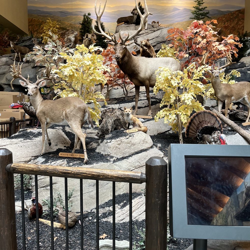 Cabela's - Outdoor display - Outdoor Gear Near Me - Greenville, South Carolina