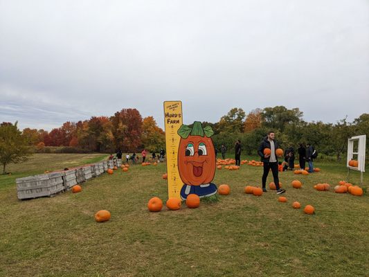 Hurds Family Farm by null