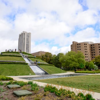 McGovern Centennial Gardens - The mountain thingie overlooks the park. It's well worth the walk and longer than you'd expect. - Parks Near Me - Houston, Texas McGovern Centennial Gardens - The mountain thingie overlooks the park. It's well worth the walk and longer than you'd expect. - Parks Near Me - Houston, Texas