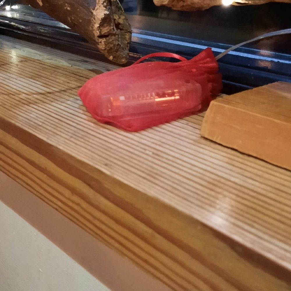 Dylans - Nice touch of hiding fairy light battery packs in little organza bags - Brasseries Near Me - Menai Bridge, AGY Dylans - Nice touch of hiding fairy light battery packs in little organza bags - Brasseries Near Me - Menai Bridge, AGY