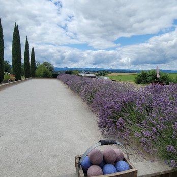 Cana's Feast Winery - Bocce court - Wineries Near Me - Carlton, Oregon Cana's Feast Winery - Bocce court - Wineries Near Me - Carlton, Oregon