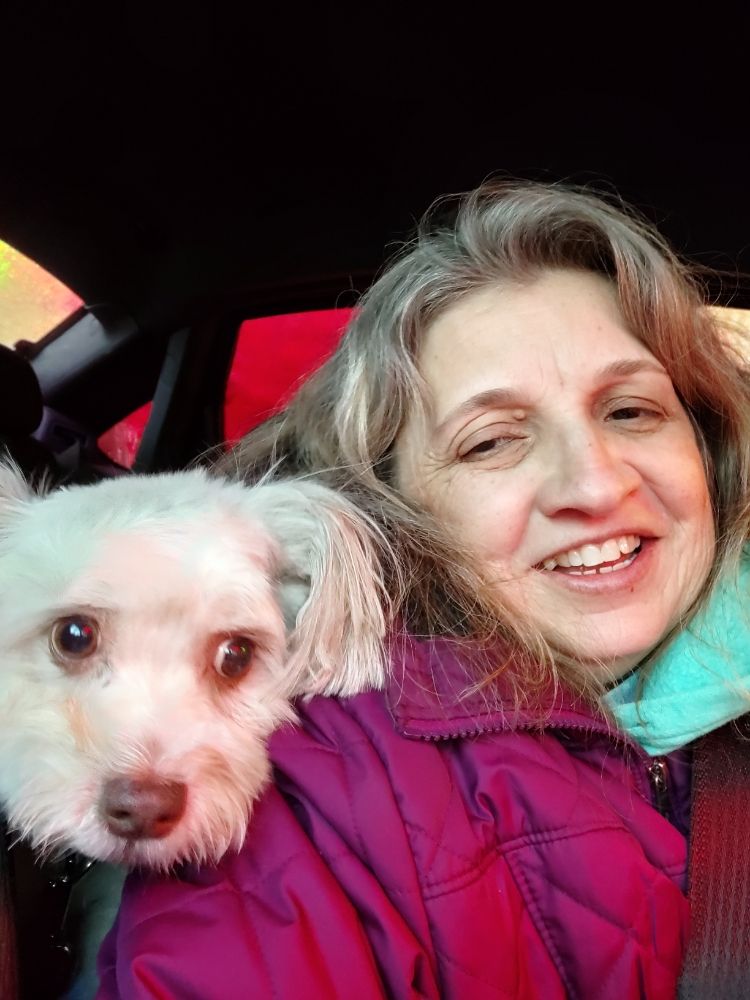 Happy Tails Pet Sitting & Dog Walking - pet boarding facility in Derry, NH
