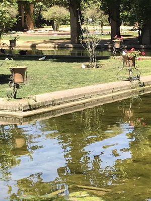 Parque de María Luisa by null