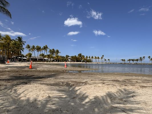 Matheson Hammock Park & Marina by null